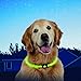 Nite Ize NiteHowl LED Safety Necklace - Light Up Dog Necklace with LED Lights - Dog Accessories for Walking & Running at Night - Replaceable Batteries - Green