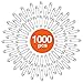 HOUSE DAY Safety Pins Bulk Pack of 1000, 1.1 Inch Long, Strong & Sharp Premium Metal Pins, Durable for Home, Office, Clothes Consignment, Competitions, Crafts