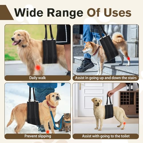 Adjustable Dog Lifting Harness for Large Dog Mobility Aids Support Sling for Weak Rear Legs Dog Lifting Harness for The Senior Injured Disabled and After ACL Surgery Rehabilitation Dog (Black, L) - Image 4