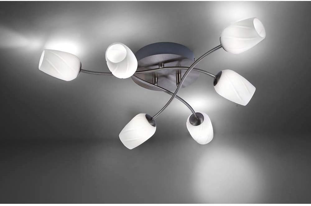 Paul Neuhaus 6563-55 - Araña LED fija ANASTASIA 6xLED/3W/230V