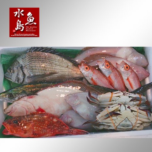 Amazon.co.jp: 魚水島 厳選 日本海の鮮魚セット「海におまかせ・大漁箱 