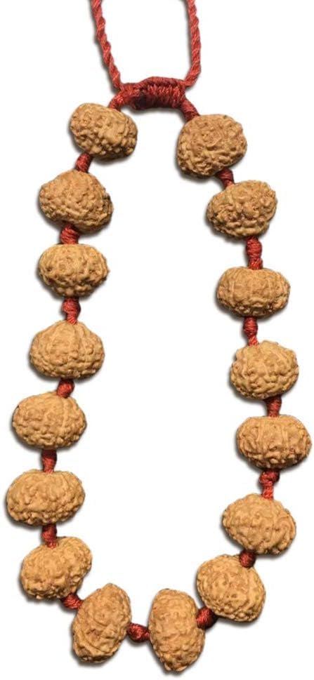 Rudraksha 10 Mukhi bracelet en fil rouge pour harmoniser vos énergies