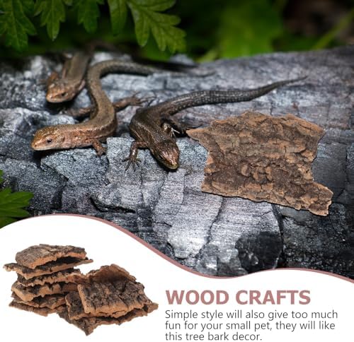 Toddmomy 10Pcs Reptile Tree Bark Decor 3.93X3.54In Natural Cork Bark for Gecko Turtle Lizard Climbing and Basking Platform Terrarium Accessories — view 7
