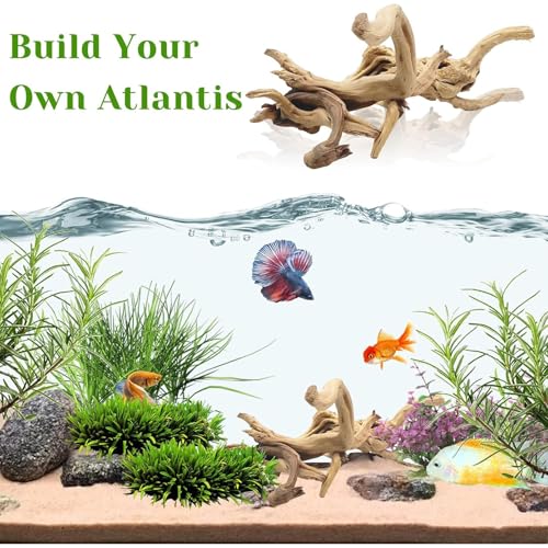 Tfwadmx Natural Driftwood for Aquarium, 11-13 inch Reptile Branches Terrarium Wood Aquarium Trunk Driftwood Tree Fish Tank Log Decoration Pack of 2 - Thumbnail 7