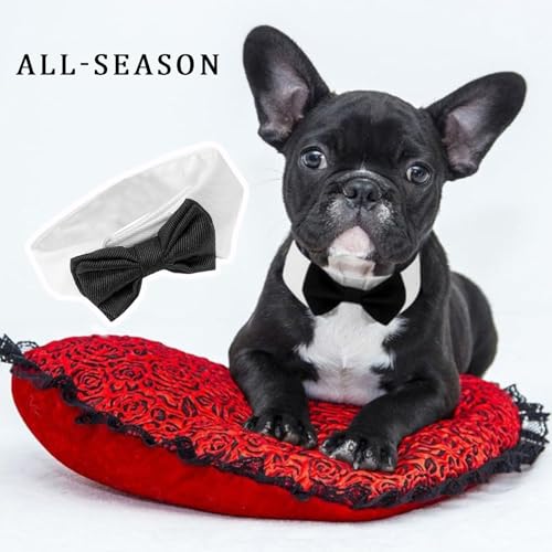 Fliege Hund,Fliege für Hund Hochzeit,Hundefliege,Hunde Fliege Hochzeit,Formelle Hundehalsband,Verstellbares Halsband Halsketten für kleine Hunde bei Hochzeitsfeiern und Geburtstagsfeiern Schwarz (S)