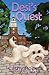 Desi's Quest (Desi's Adventures)
