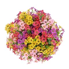 Red Yellow Pink Purple