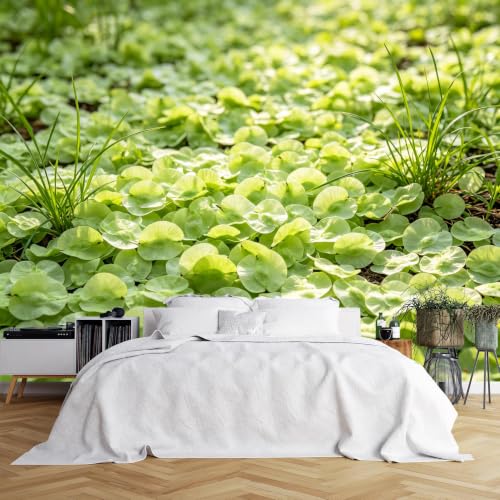 Papier peint autocollant feuille verte 3D de 343x256 cm pour un salon nature et moderne