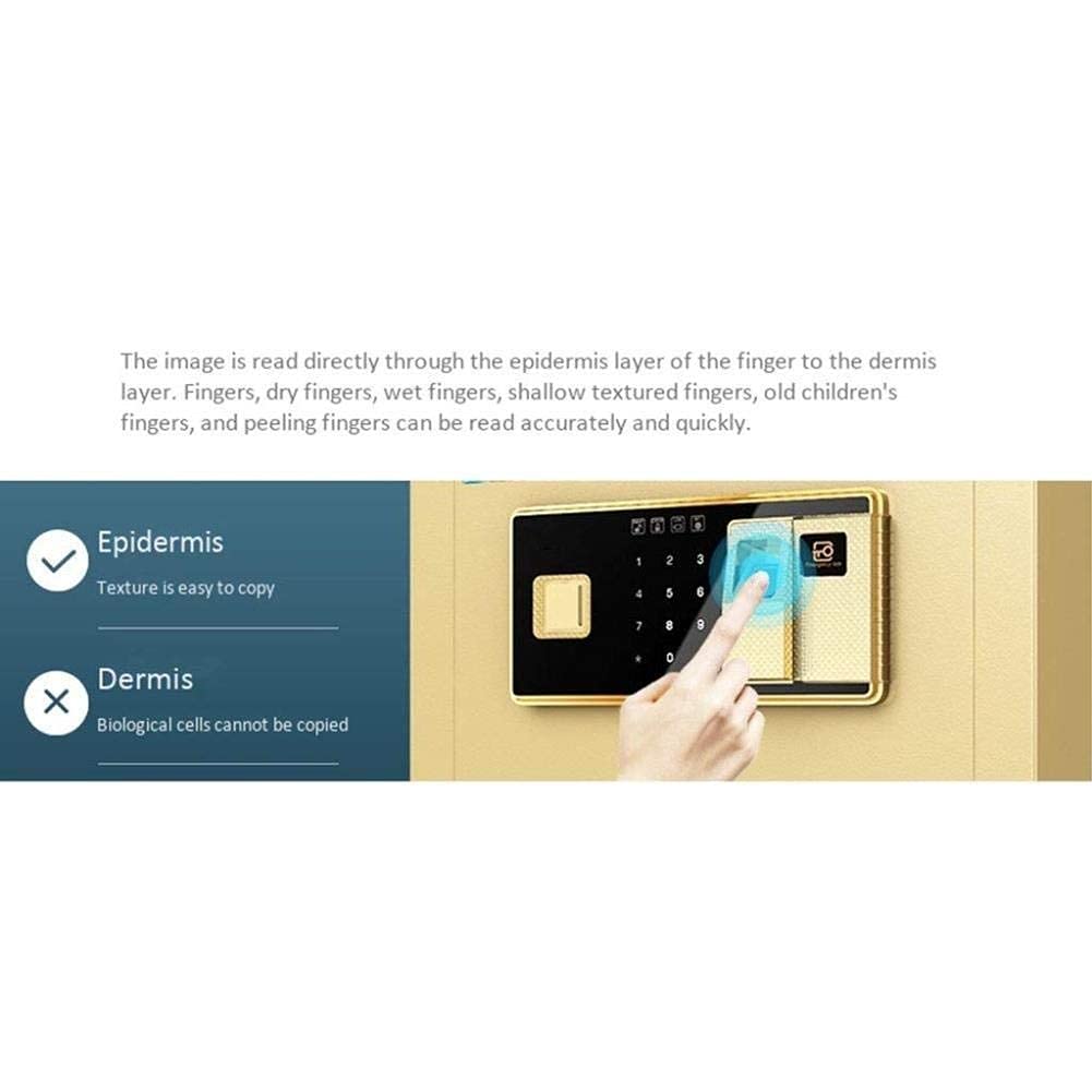 Cassaforte, ignifugo, impermeabile, cassaforte, cassaforte biometrica per impronte digitali, password di sicurezza, cassaforte per documenti d'identità, documenti A4, computer portatili, ebreo per la