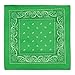 Beistle Green Bandana, 22