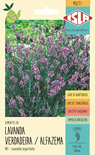 Sementes de Lavanda Alfazema Verdadeira - Linha Multi
