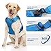 WINGOIN Blue Tactical Dog Harness for Large Dogs, Heavy Duty No Pull Dog Harness with Handle, Adjustable Reflective Military K9 Big Pet Vest for Husky, Doberman, Walking, Training, Hunting (XL)