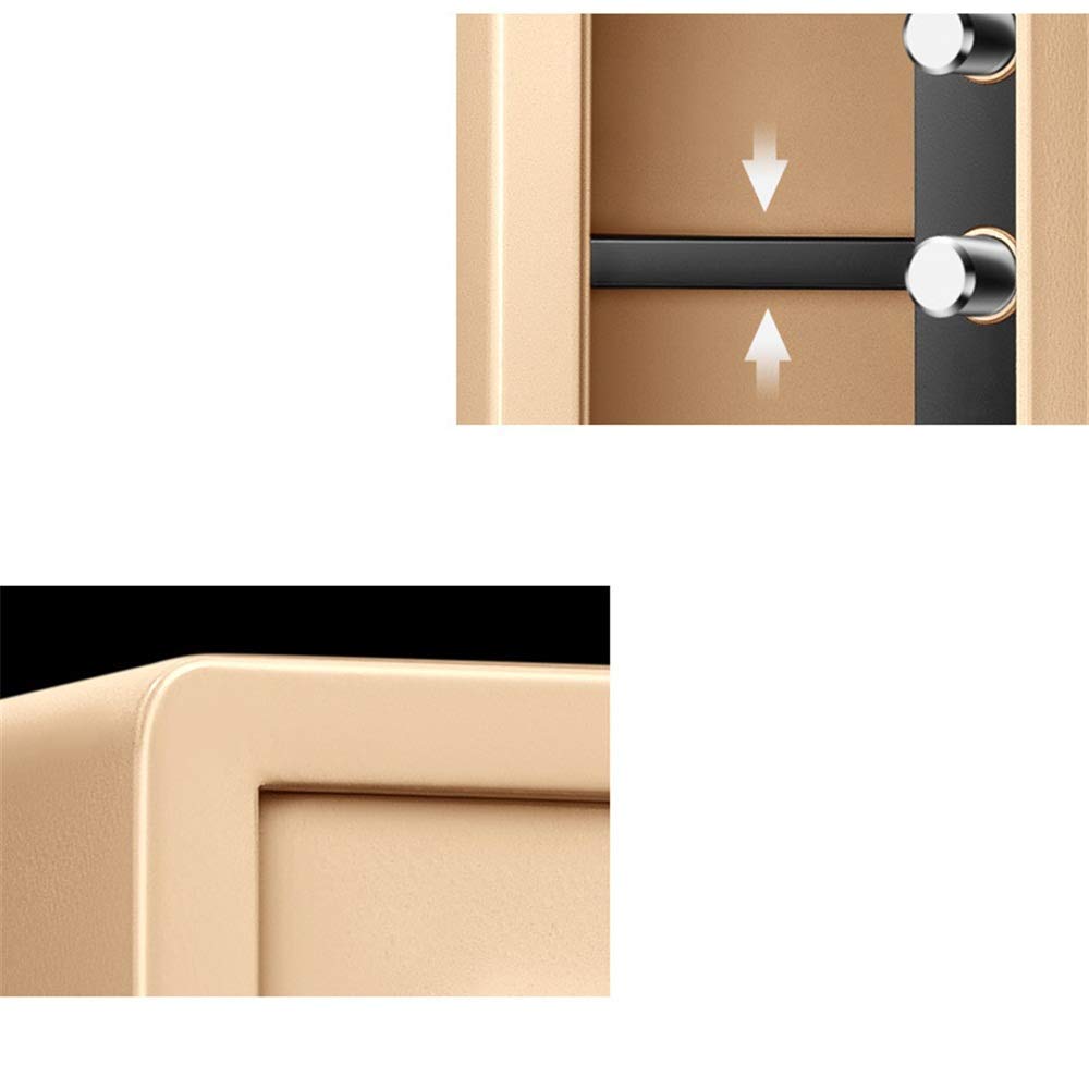 Cassaforte Domestica con Doppia Serratura a Chiave e Cassetta di Sicurezza per Contanti protetta da Password