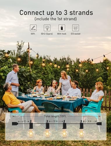 image for Brightown Outdoor String Light 55Feet G40 Globe Patio Lights with 52 E