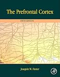 The Prefrontal Cortex