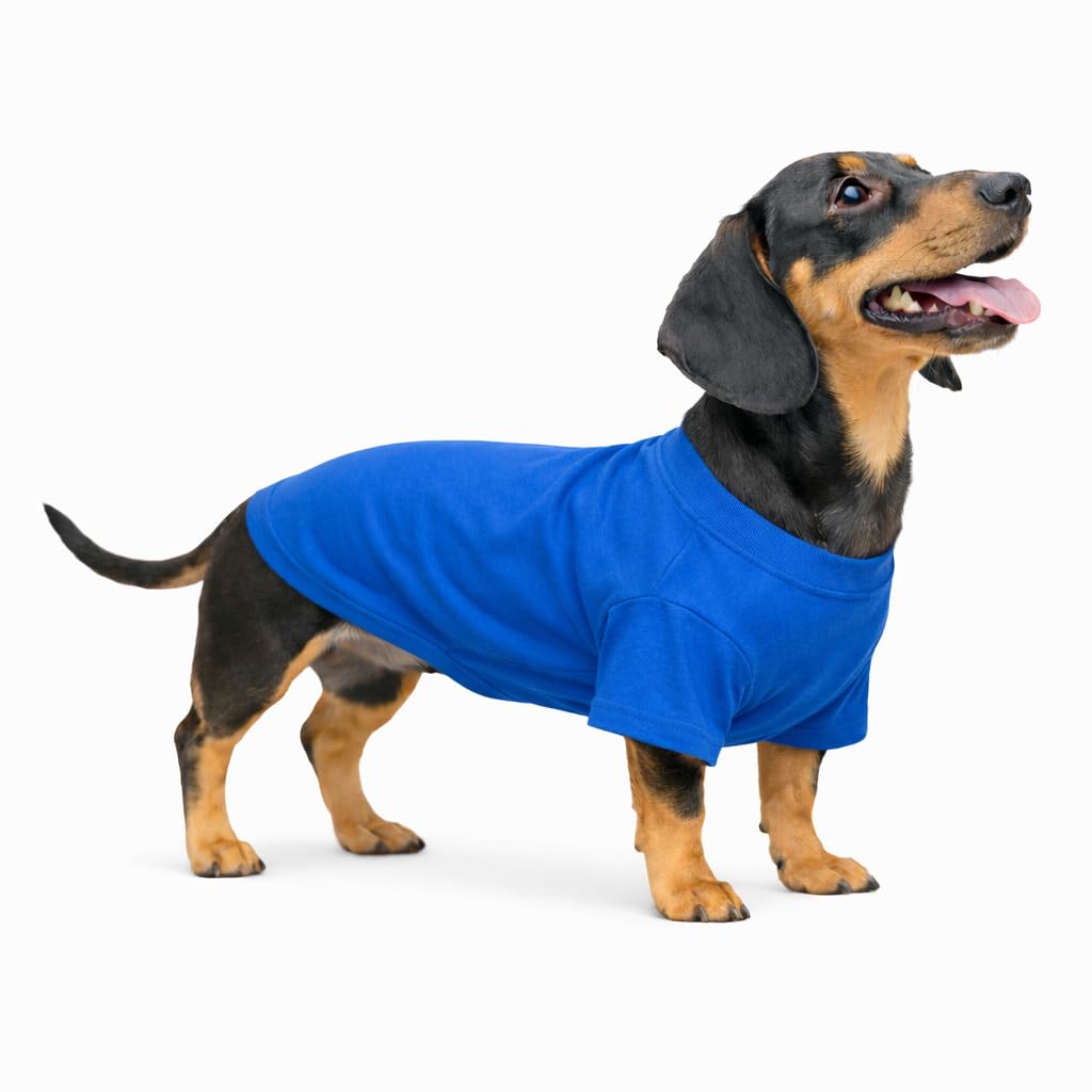 Lovelonglong Pet Clothing Dog Costumes Dachshund Clothes Blank T-Shirt Tee Shirts for Dachshund Dogs,Corgi 100% Cotton Blue D-L
