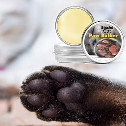 butter cats paws work
