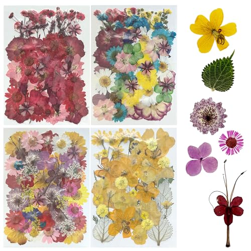 Woohome 200 Pz Naturales Flores Prensadas Secas, Hojas Prensadas Secas Naturales, Flores Secas Reales para Resina para Resina Scrapbooking, Joyería de Resina Epoxi