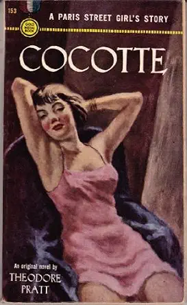 Cocotte Cocotte book cover