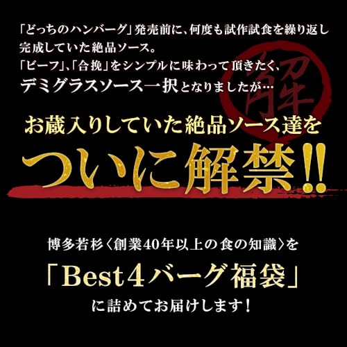 博多若杉 Best4 ハンバーグセット 20個入り