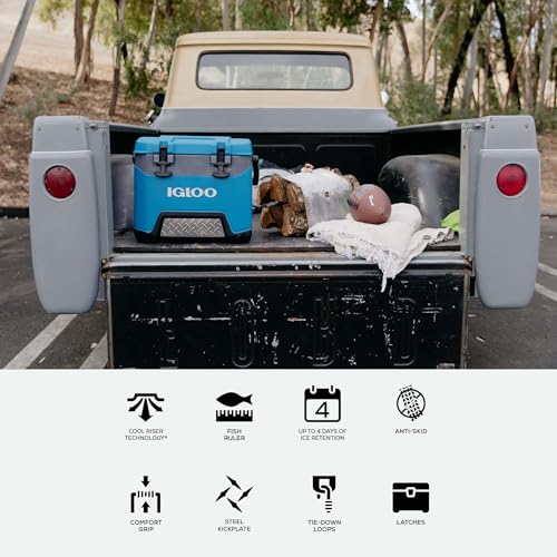 Image of Igloo BMX Cooler | Insulated Hard Shell Ice Chest