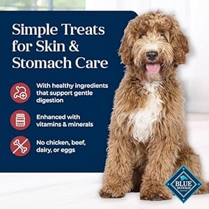 Blue Buffalo Basics Crunchy Dog Biscuits for Skin & Stomach Care, Limited Ingredient Diet Dog Treats, Salmon & Potato Recipe, 6-oz. Bag Blue Buffalo Basics Crunchy Dog Biscuits for Skin Stomach Care Limited Ingredient Diet Dog Treats Salmon Potato Recipe 6 oz Bag