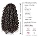 AISI BEAUTY Curly Ponytail Extension Drawstring Ponytails for Black Women Synthetic Curly Drawstring Ponytail with 2 Clips on Ponytails for Women (Dark Brown)