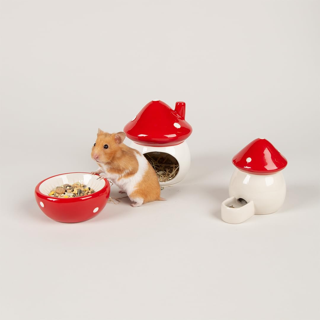 Scruffs Small Animal Toadstool Ceramic Set