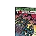 Teenage Mutant Ninja Turtles Comic Book Metal Wall Decor - Eastman and Laird's TMNT Wall Art for Home