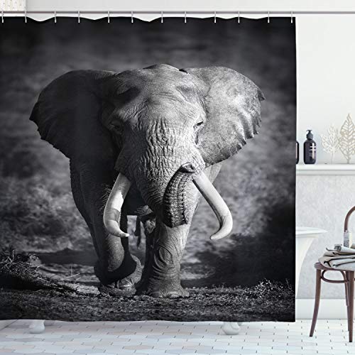 ABAKUHAUS Grau Duschvorhang, Exotische Wildlife Elefant, Stoffliches Gewebe Badezimmerdekorationsset mit Haken, 175 x 200 cm, Grau