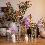 Devilfire 12Pcs Glass Cylinder vases for Centerpieces, 6 Inches Tall Flower Vases Wedding Decorations,Bulk Cylinder Flower& Plant Vases,Hurricane Candle Holder for Table Shelf, Party. - Image 3