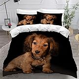Juego de ropa de cama tamaño King con funda de edredón y funda de almohada para adultos, adolescentes, niños y niñas, color negro, mullido y transpirable, antialérgico, diseño de perro salchicha