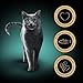 Sheba Schale Seasons Collection 2 x 11 x 85g