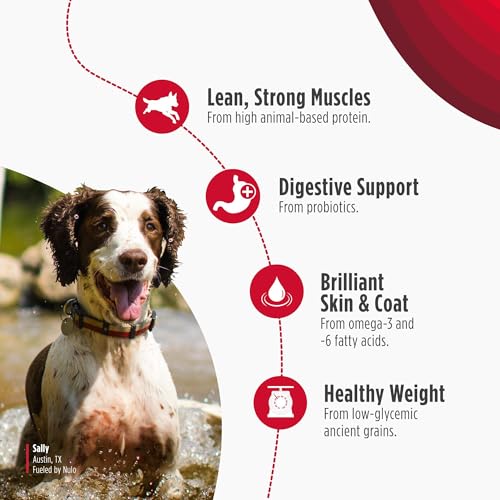 Image of Nulo Frontrunner Dry Dog Food - Adult High-Protein Beef, Barley & Lamb Recipe, Natural Kibble with Ancient Grains, Probiotics, Taurine, Omega 3 for Small, Medium and Large Breeds, 5lb Bag