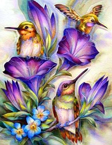 Kit broderie point de croix oiseau 11CT 40x50cm avec toile pré-imprimée pour débutant