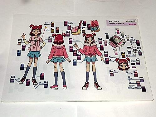 Amazon 設定資料 Yesプリキュア5 東堂いづみ川村敏江先生東映動画 アニメ 萌えグッズ 通販