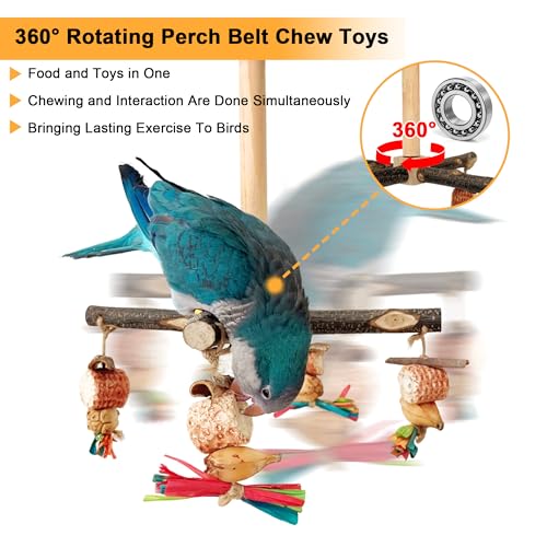 Image of Rotating Parrot Perch Stand with Chew Toy - Natural Wooden Bird Cage Accessories, Bird Stand with Chew Toys and Exercise Wheels, Natural Wooden Perch Stand for Small and Medium Sized Birds