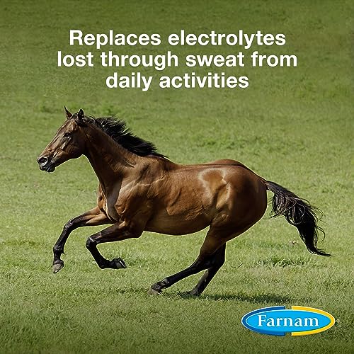 Farnam 81110 Apple Elite Horse Electrolyte Powder thumb #1