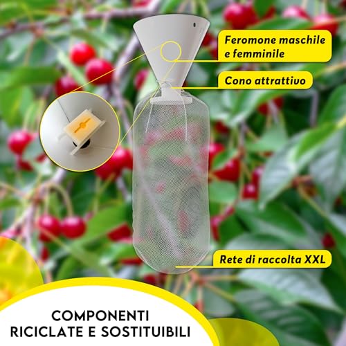 Piège popillia japonica pour stopper l'invasion des insectes sur les plantes - 6