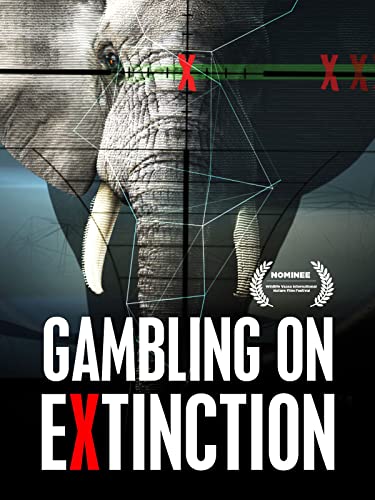Gambling on Extinction