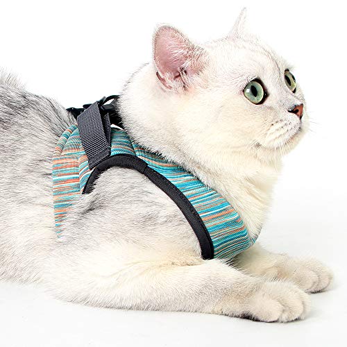 Heywean Cat Harness and Leash - Ultra Light Escape Proof Kitten Collar Cat Walking Jacket with Running Cushioning Soft and Comfortable Suitable for Puppies Rabbits - Thumbnail 6