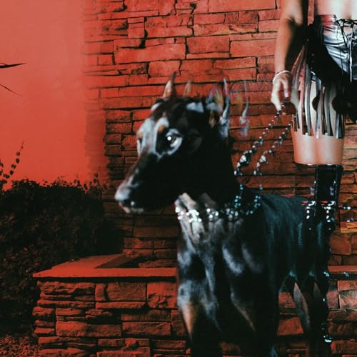 MUTT