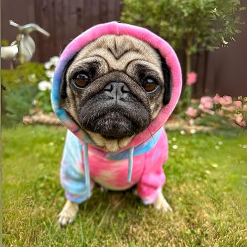 Spark Paws Dog Hoodie – Premium Dog Sweater for Small, Medium, and Large Dogs | Warm Outfits for French Bulldogs, Pitbull, Puppy, Winter Jacket Alternative - Snow Cone - S - Image 4