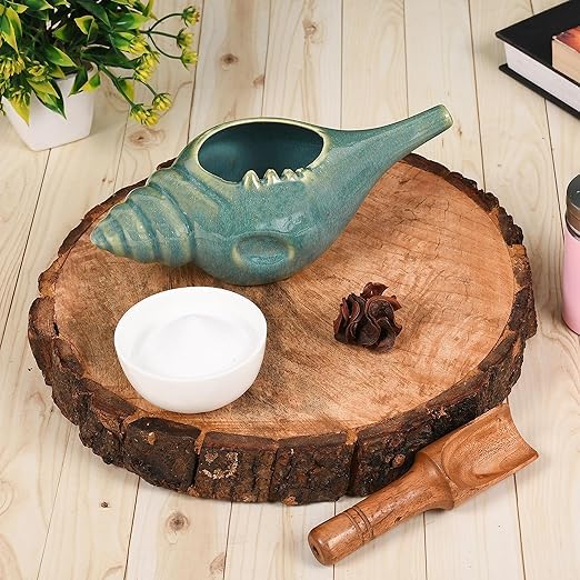 Image of Leak Proof Durable Ceramic Neti Pot with Nostril Plugging Support Better Capacity Holds 300 ml Spill Proof with Comfort Grip Lead Free Microwave Dishwasher Safe (Light Green)