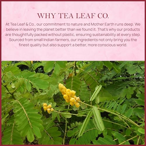 Image of Tealeaf & Co. Senna Tea Blended with Fresh Herbs - Pure Herbal Tea Bags with Senna Leaves Extract - Flavored Herbal Blend - Low Caffeine - Gluten Free - 50 Teabags