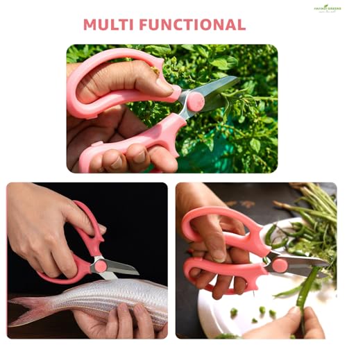 Image of Anandi Green's 5 Stainless Steel Scissors Pointed Tip with Shock Proof Body Ergonomic & Soft Handles for Easy Handling Red Scissor with Cap
