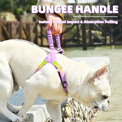 Image of PUPTECK No Pull Dog Harness Small Sized Dog, Adjustable Reflective Pet Vest Harness with Bungee Handle, Escape Proof No Choke Harness for Small Dogs Walking Training, Purple M