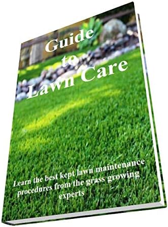 review Snow Blower Replacement Parts 10021242031/10021242030 OEM Genuine Echo Oil Seal for DH212 EB212 ED-200 EDR-210 ES-1000 ES-210 ES-21 and E-Book in A Gift