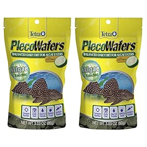 Tetra 77016 TetraVeggie Algae Wafers, 6-Ounce, 172-Gram