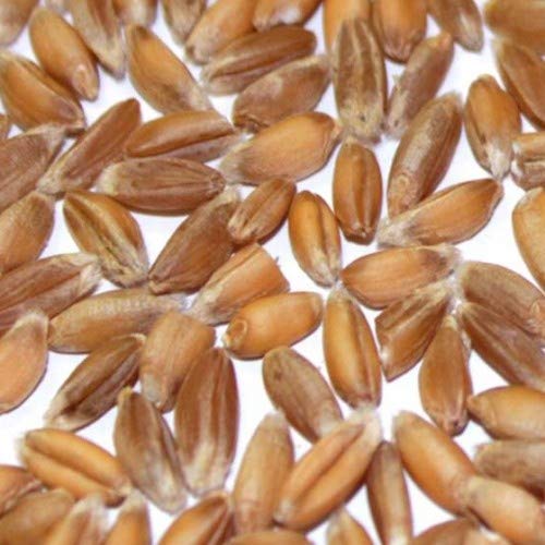 BIO Emmer 5kg - direkt vom Bauernhof - aus kontrolliert biologischem Anbau Cover